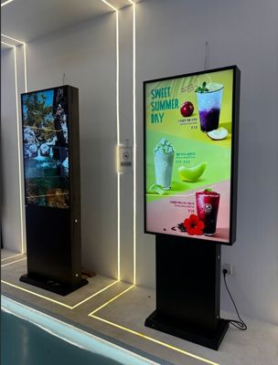 55inch 3000cd/m2 IP65 Ultra Slim Lightweight Aluminum Outdoor Digital Signage Display