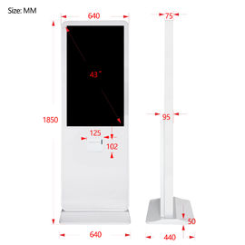 Indoor Interactive Digital Signage , Led Screen Self Service Interactive Kiosks